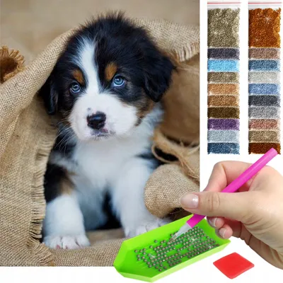 Produktbild von ARTULIO - Diamond Painting Set - Süßer Hund mit blauen Augen - 40 x 30 cm - Crystal Art, Komplettset Mosaik + Zubehör