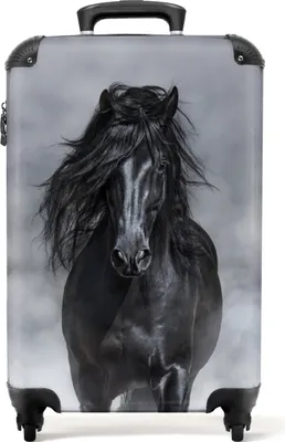 Obrázek produktu pro NoBoringSuitcases.com® Kufr Příruční zavazadlo Trolley Rolling suitcase Malý cestovní kufr na 4 kolečkách - Horse - Black - Child - Portrait - Cabin Size < 55x40x23 cm & 55x40x20 cm - Foto kufr - Cabin suitcase - Board luggagePříruční zavazadlo Kufr 55x35x20 cm, 36L,