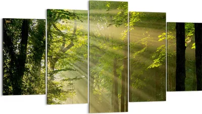 Produktbild von Bild auf Leinwand - Leinwandbild - Wald Baum Natur - 160x85cm - Wand Bild - Wanddeko - Wandbilder - Leinwanddruck - Bilder - Kunstdruck - Wanddekoration - Leinwand bilder - Wandkunst - EA160x85-3661