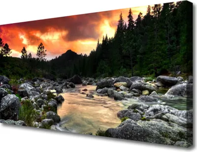 Produktbild von Tulup Leinwand-Bilder 100x50 Wandbild Canvas Kunstdruck See Steine Wald Natur