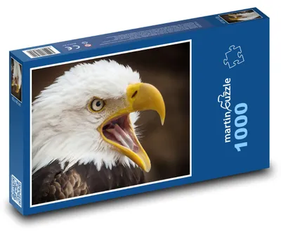 Produktbild von Puzzle 1000 Weißkopfseeadler - majestätischer Greifvogel - martinpuzzle