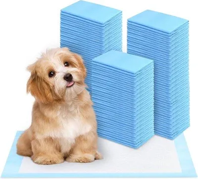 Zdjęcie produktu dla Mata treningowa dla szczeniąt, 100 sztuk - 13 x 45 cm - 5 warstw - nietoksyczna, bardzo chłonna