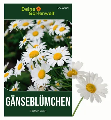 Produktbild von Gänseblümchen Einfach weiß Samen - Bellis perennis - Gänseblümchensamen - Blumensamen - Saatgut für 300 Pflanzen