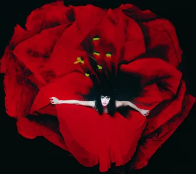 Produktbild von The Smashing Pumpkins - Adore (2 LP)