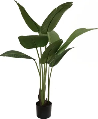 Immagine prodotto di Strelitzia, pianta artificiale, 110 cm