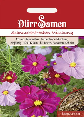 Produktbild von Dürr-Samen - Cosmea Prachtmischung einjährig 100-120 cm - Saatgut - 0713