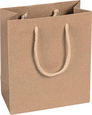 Produktbild von Papiertüten, 16 x 19 x 8 cm, braun, glatt, mit Kordelhenkeln – Packung mit 12 Stück