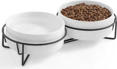 Produktbild von GIZMO Futternapf Katze/Hund Doppelt - Weiß - 2 Keramik Trink- & Futternäpfe mit Ständer - Trinknapf - 15.5 CM - 850ML