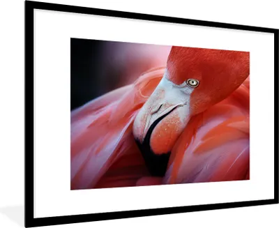 Produktbild von MuchoWow® MuchoWow® Gerahmtes Poster Nahaufnahme eines Flamingos 90x60 cm - Poster mit zchwarzem Bilderrahmen - Wanddekoration - Fotos