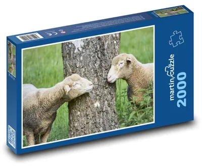 Obrázek produktu pro Puzzle 2000 Ovce a jehňata u stromu - martinpuzzle