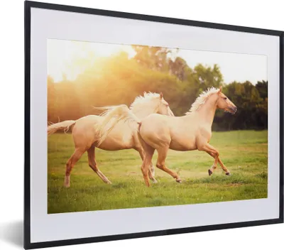 Produktbild von MuchoWow® MuchoWow® Gerahmtes Poster Pferde - Gras - Sonne 40x30 cm - Poster mit zchwarzem Bilderrahmen - Bilderrahmen - Poster im Rahmen