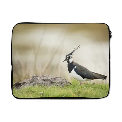 Produktbild von MuchoWow® Laptop Hülle 15 Zoll Vogel - Gras - Tiere - Natur - Kiebitz Laptoptasche - Laptoptasche - Sleeve - Rundum-Schutz