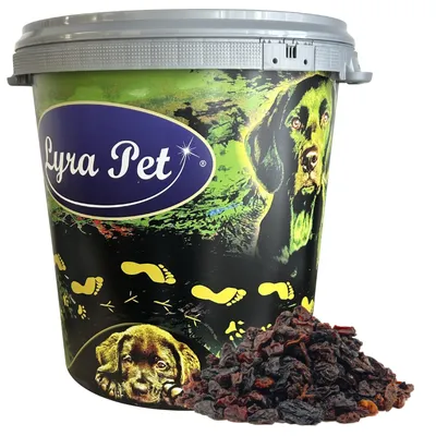 Produktbild von 10 kg Lyra Pet® Rosinen in 30 L Tonne