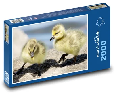 Obrázok produktu pre martinpuzzle - Puzzle 2000 - Maciatka