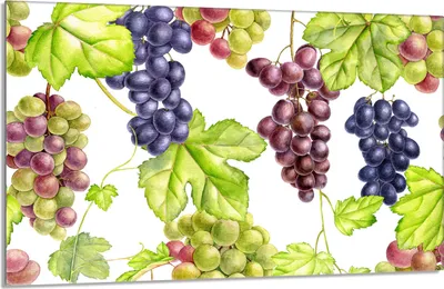 Obrázok produktu pre Kryt varnej dosky 80x52cm 1-dielny keramický kryt varnej dosky, hroznovo zelený