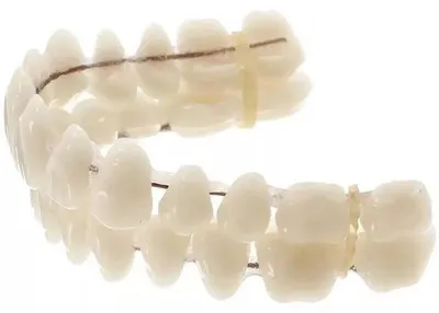 Obrázek produktu pro Sada zubních náhrad, odolný pryskyřičný materiál, pohodlné usazení, 1 sada