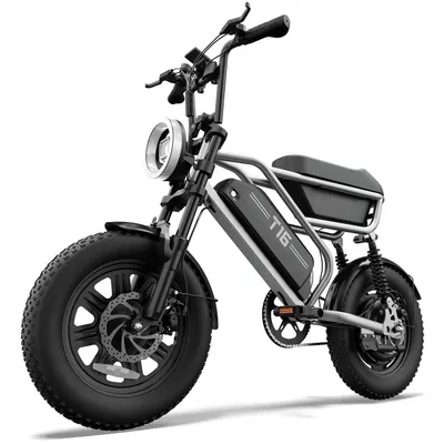 Produktbild von E-Bike 16x3,0 Zoll, 48V/15.6Ah Akku, 110km Reichweite, Retro Holland E Bike Elektrofahrrad Silber