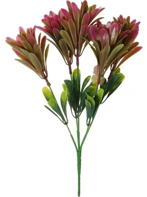 Image de Bouquet de 5 feuilles d'olivier, 32 cm
