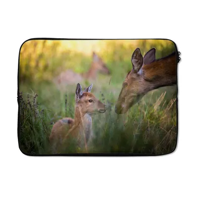Produktbild von MuchoWow® Laptop Hülle 14 ZollHirsche - Gras - Wald Laptoptasche - Laptoptasche - Stoßsicher - Schutzhaube