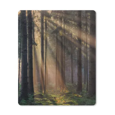 Produktbild von MuchoWow® Mauspad Mousepad Bäume - Wald - Sonne - Pflanzen 19x23 cm - Mousepads - Maus Mat - Pad - Mausunterlage - Mauspads - Spielen