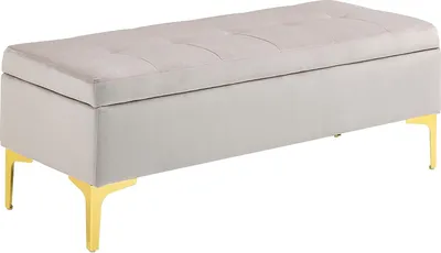 Produktbild von Aufbewahrungsbank mit Stauraum und Gepolsterter Sitzfläche - 2-in-1 Elegantes Design für Schlafzimmer oder Eingangsbereich