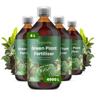 Obrázok produktu pre Green Plant Tekuté hnojivo 4x1 L – 2-1-8 NPK – Pre izbové a záhradné rastliny – Podporuje vitalitu a nepretržitý rast – Organický produkt