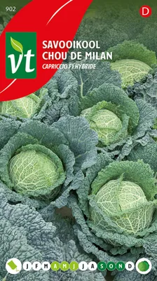 Immagine prodotto di Cavolo verza Capriccio F1 semi ibridi - Circa 0,3 gr | VT_902