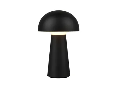 Obrázek produktu pro Venkovní přenosná lampa LENNON černá RL R52176102