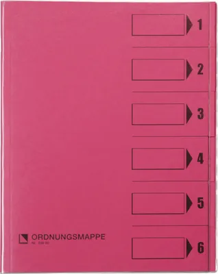 Zdjęcie produktu dla Bene Ordnungsmappe 83600RS DIN A4 6Fächer rosa