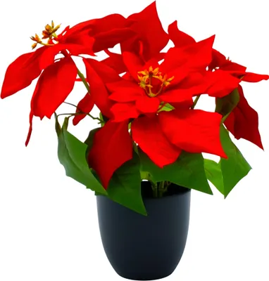 Produktbild von Künstlicher Weihnachtsstern im schwarzen Topf - 32 cm - Kunstblume Poinsettie in naturgetreuer Nachbildung