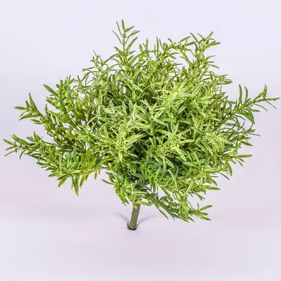 Produktbild von artplants.de Künstlicher Rosmariebusch auf Steckstab, 20cm - Kunstkraut - Dekokraut