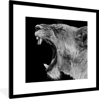 Produktbild von MuchoWow® Gerahmtes Poster Tiere - Löwe - Schwarz - Weiß - Porträt 40x40 cm - Poster mit Schwarzem Bilderrahmen Wandposter Rahmen Foto Bilder - Poster - Plakat im Rahmen