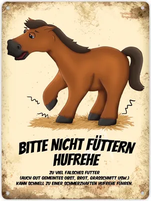 Produktbild von Metallschild XL mit braunem Pferd Motiv und Spruch: Bitte nicht füttern -