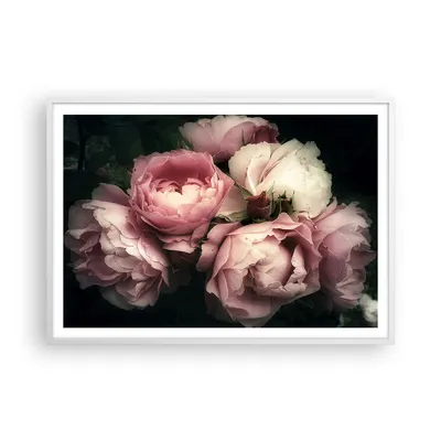 Produktbild von Gerahmtes Poster - Weißer Rahmen - Pfingstrose Blume - 100x70 cm - Wand Bild - Wanddeko - Wandbilder - Kunstposter - Wandposter - Bilderrahmen - Bilder - Kunstdruck - Wandbild - P2WAA100x70-3930