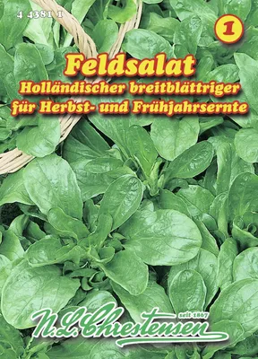 Produktbild von Feldsalat Holländischer breitblättriger | Feldsalatsamen von N.L. Chrestensen