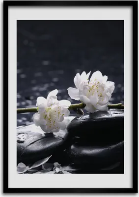 Produktbild von Bild - Bilderrahmen - Foto - 70 cm x 100 cm - MDF - Rahmen - Wandkunst - Blumen und Steine