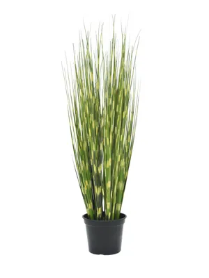Produktbild von EUROPALMS Zebragras, künstlich, 90cm (82505863)