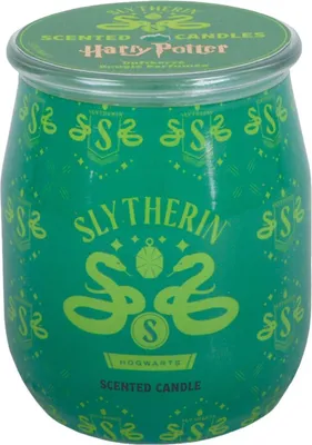 Immagine prodotto di Harry Potter A2845 Duftkerze Harry Potter Barrel Slytherin - 90g