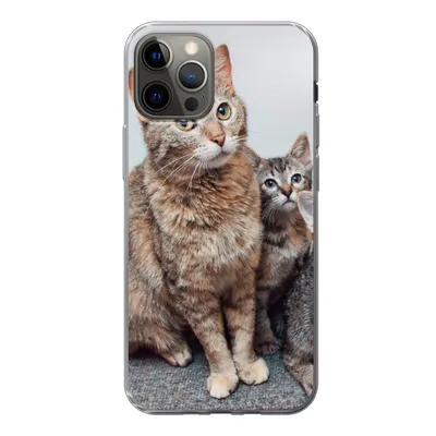 Produktbild von MuchoWow® Handyhülle Schutzhülle Hülle für iPhone 13 Pro Katze - Kätzchen - Fell Silikon Softcase Handy Hülle - Handy-Tasche