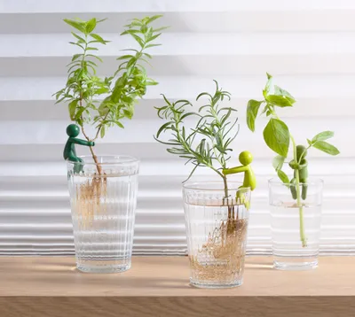Zdjęcie produktu dla PELEG Design - Zestaw 3 podpórek do roślin Leafriend Wspieram Twój zielony kciuk
