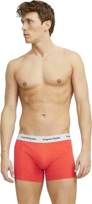 Image de Boxer Jack&Jones 12272945 pour Homme