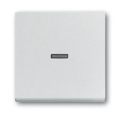 Produktbild von Busch-Jaeger Wippe 1789 N-83 2CKA001751A3149