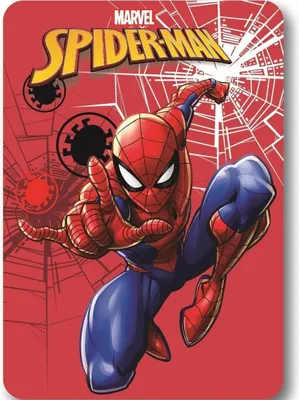 Produktbild von Marvel Spiderman Polardecke