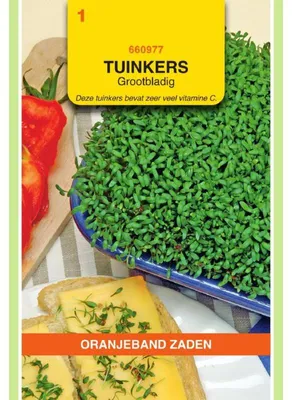 Produktbild von Oranjeband Gartenkresse Grossblaettrige - 1 Packung Saatgut