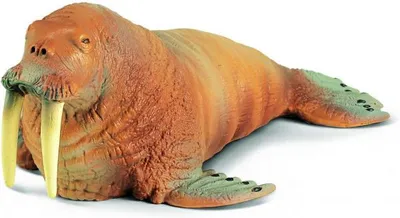 Produktbild von Schleich - World of Nature - Wild Life - Walross