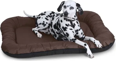 Produktbild von Knuffelwuff Wasserfestes In und Outdoor Hundebett Lucky aus Nylongewebe XL 90 x 75cm Braun