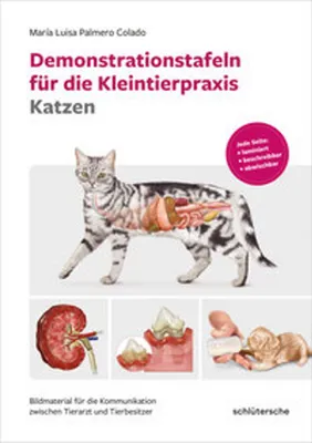 Produktbild von Demonstrationstafeln für die Kleintierpraxis Katzen