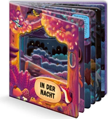 Produktbild von Trötsch Fensterbuch In der Nacht