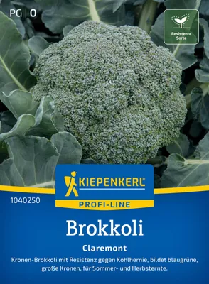 Produktbild von Kiepenkerl Brokkolisamen Claremont F1 Brassica oleracea botrytis cymosa 12 Pflanzen