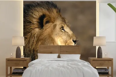 Produktbild von MuchoWow® Fototapete für Wohnzimmer oder Schlafzimmer Wandtapete Vinyl Motivtapete Profil - Löwe - Afrika - 300x300 cm - Wanddekoration